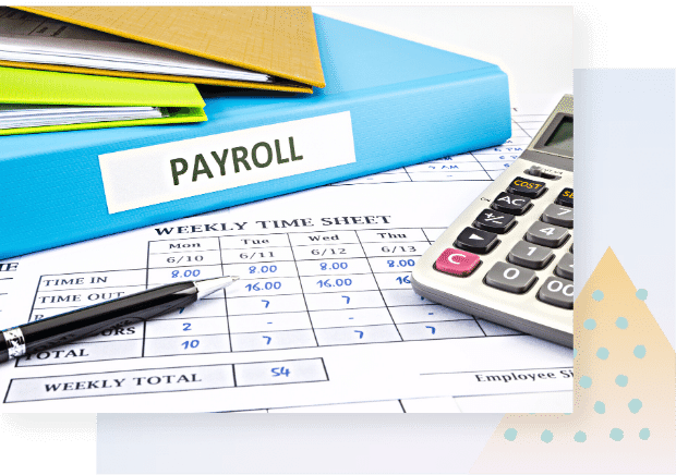 Payroll Processing Services - N2S