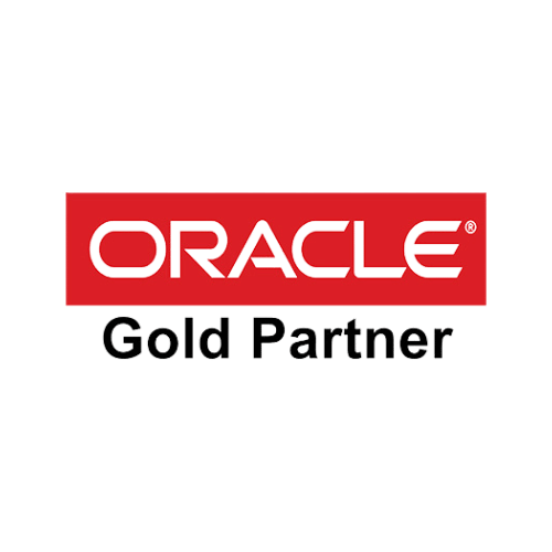 Oracle Gold Partner - N2S