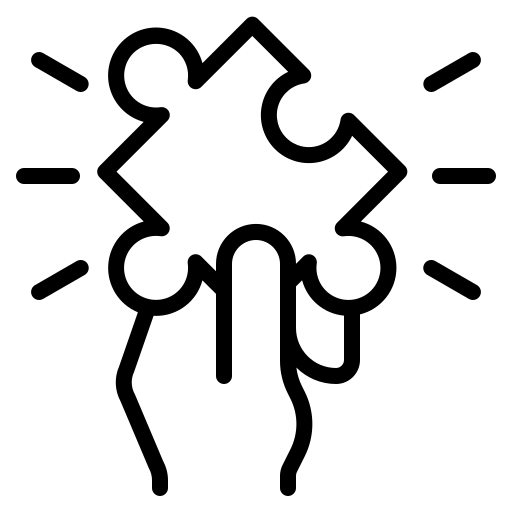 solution (2)